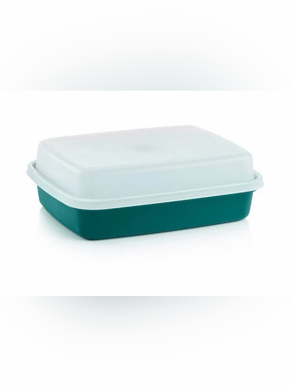 Tupperware Season Serve Marinate Storage Container new
